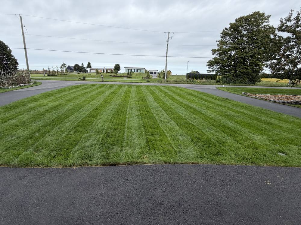 Striped front lawn framed by a circular driveway